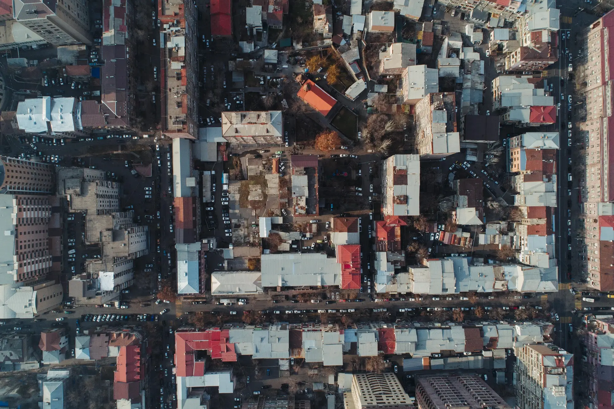 dataset banner image