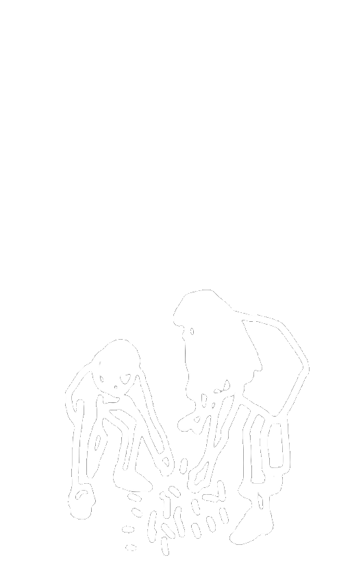 Fantome