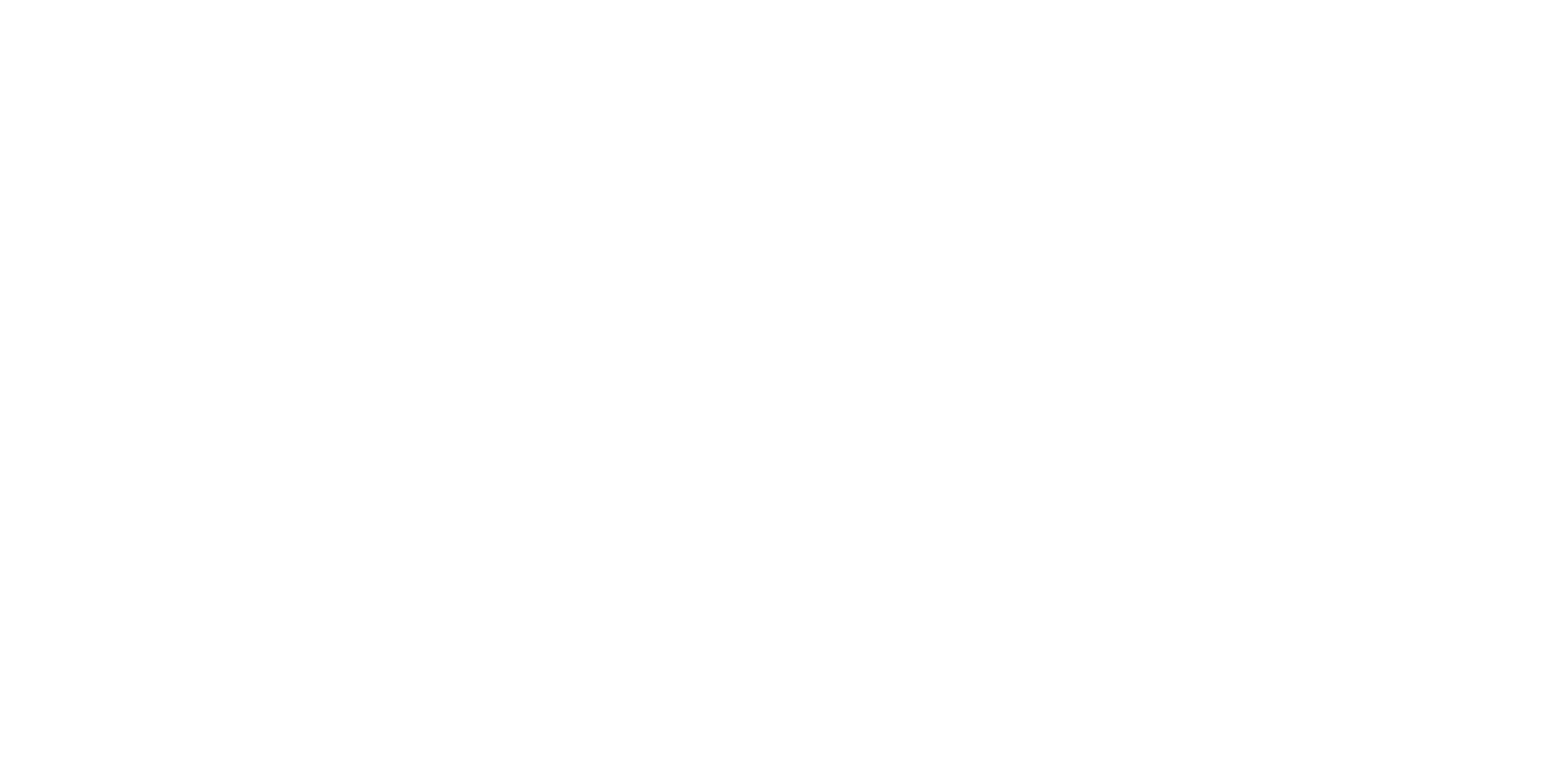Haspa Next