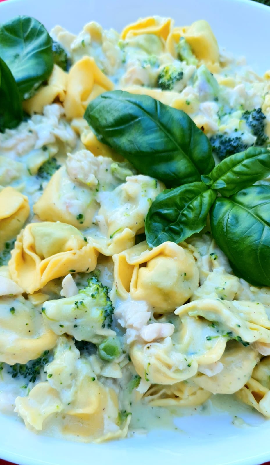 Chicken Tortellini One Pot (traditional & Thermomix)