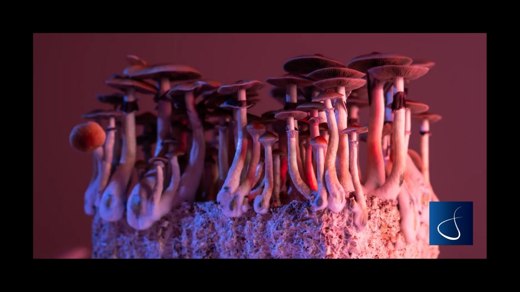 Will the use of psychedelics for medicinal purposes become a viable defence in court?