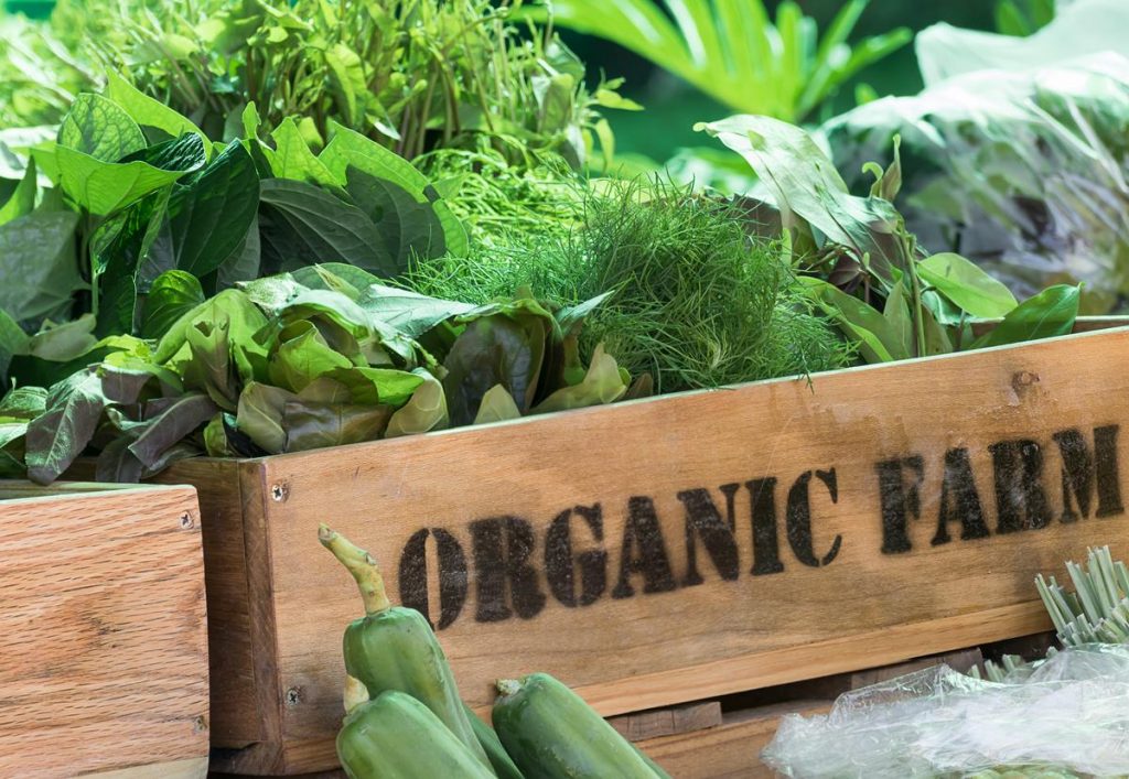 Organic Farm Group Limited