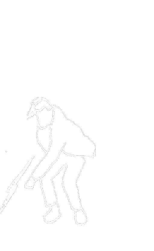 Fantome