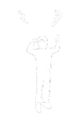 Fantome