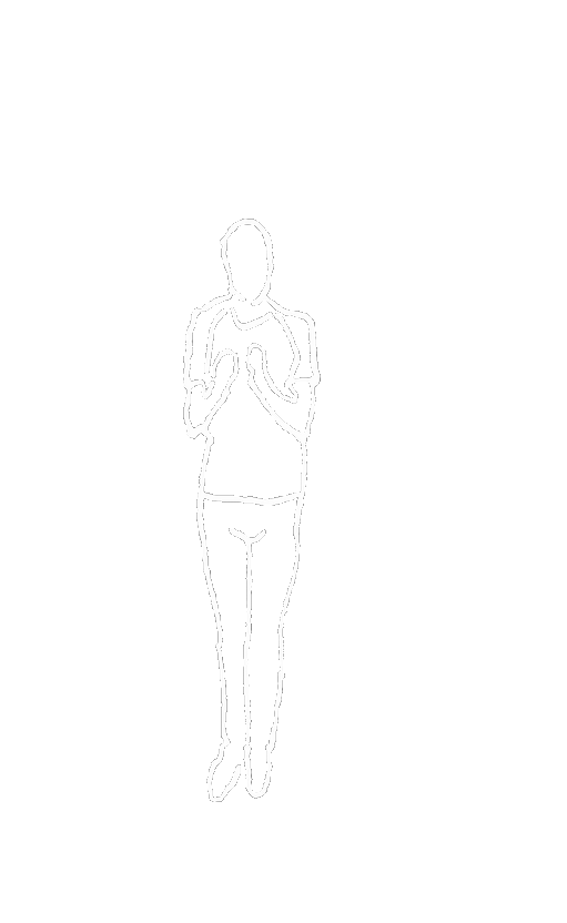 Fantome