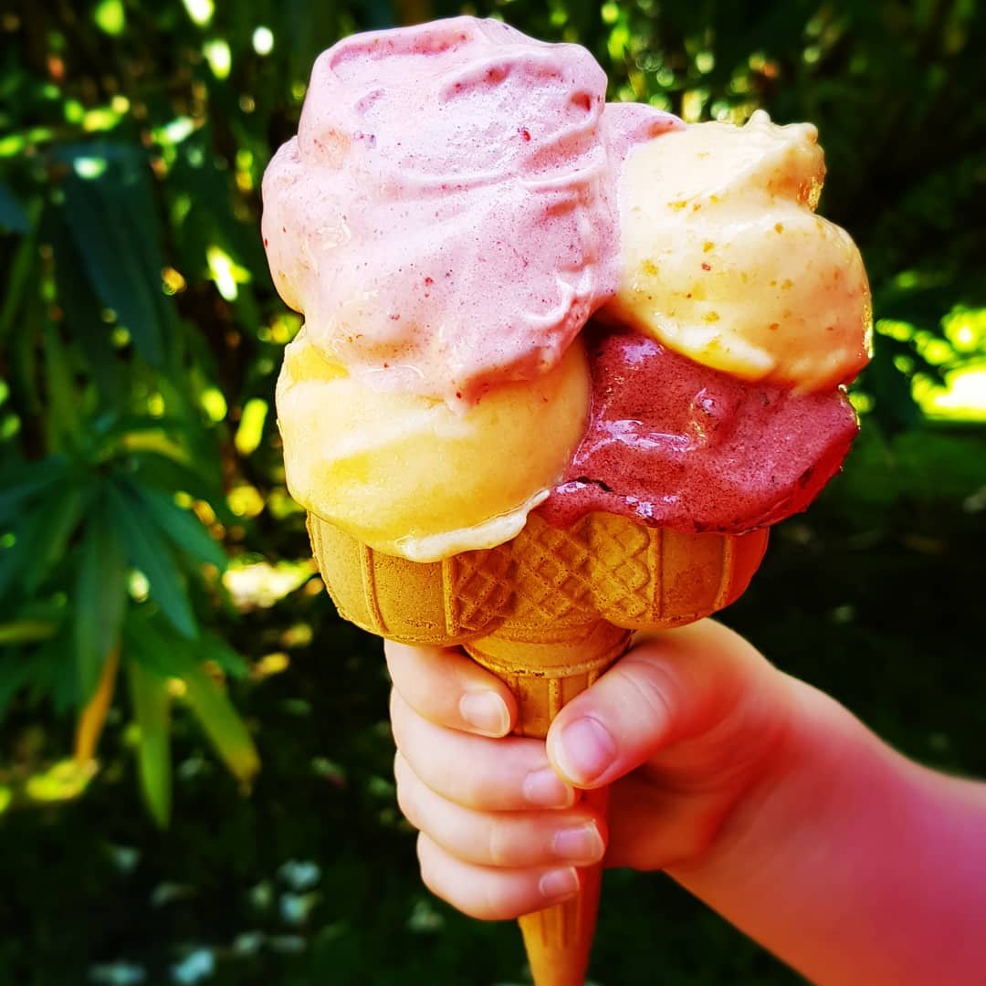 Sorbet fruité et instantané (traditionelle & Thermomix)