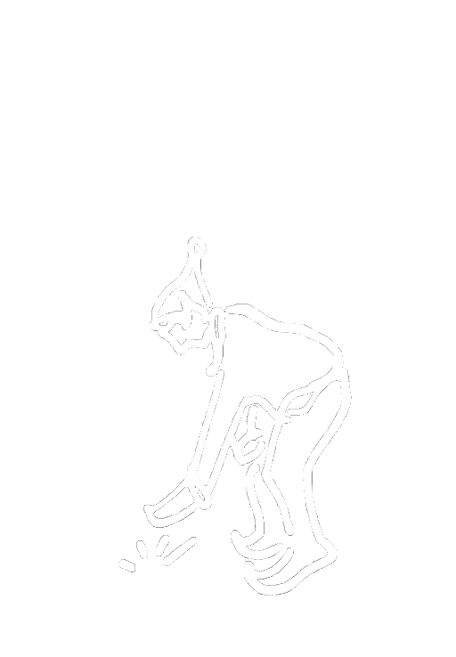 Fantome