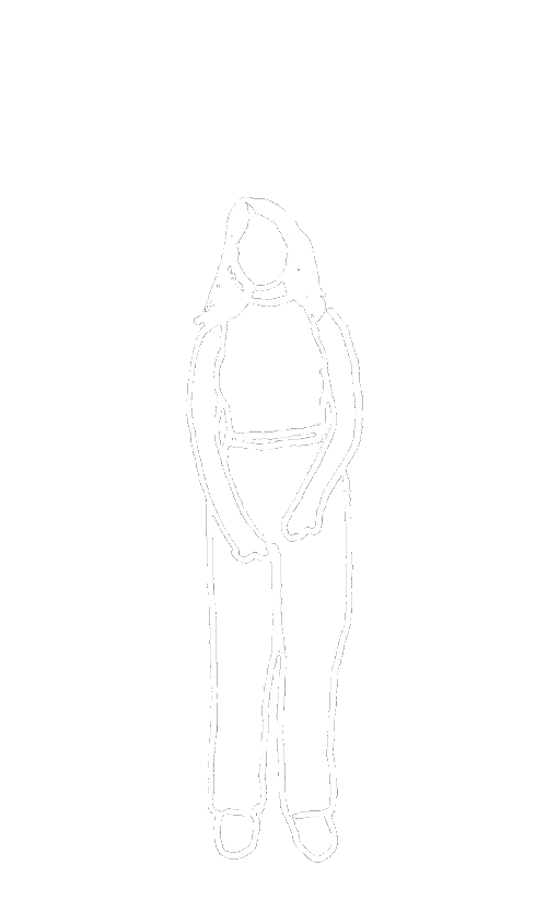 Fantome