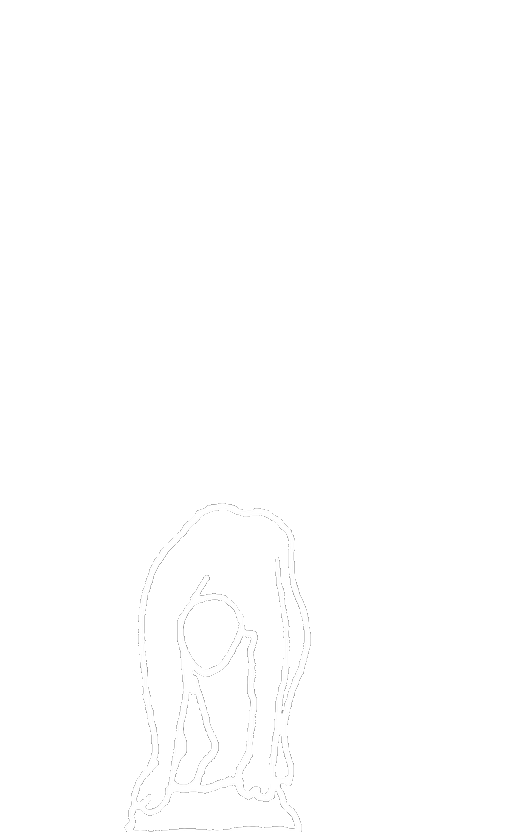 Fantome