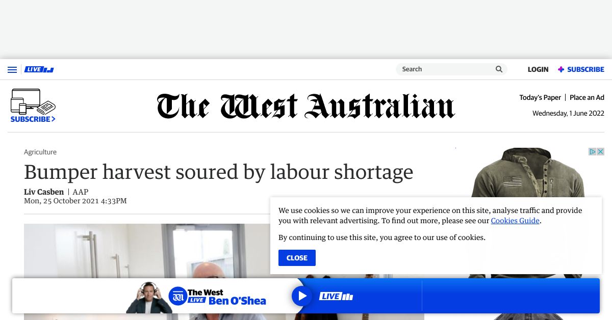 Bumper harvest soured by labour shortage