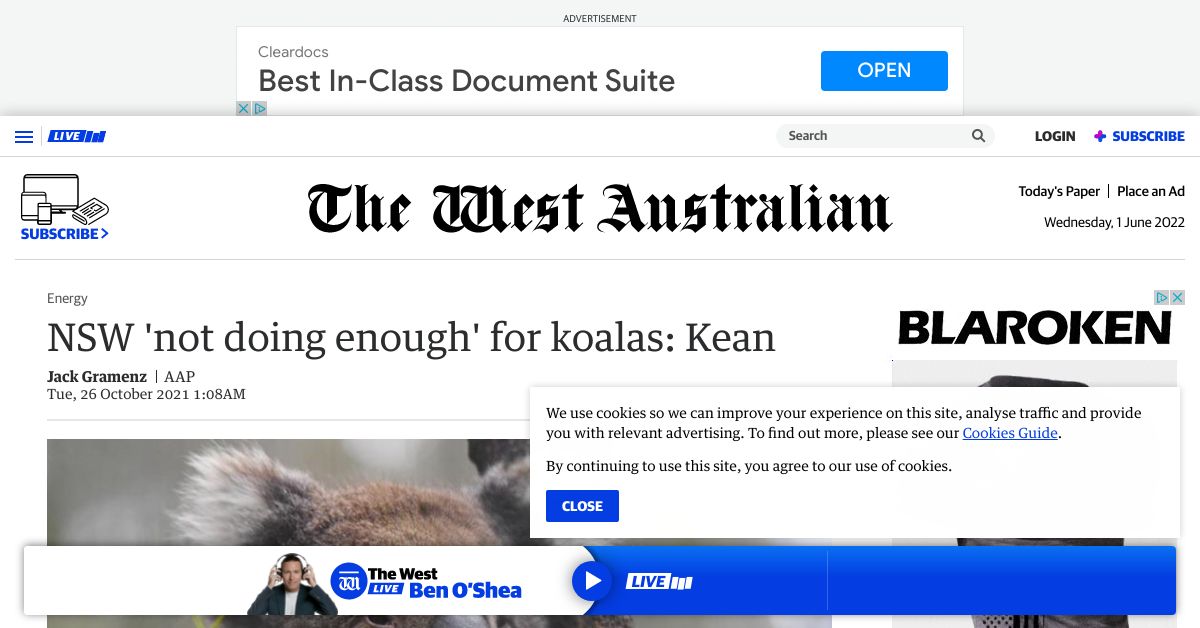 NSW not doing enough for koalas Kean