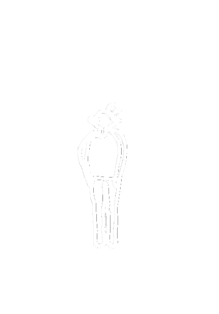 Fantome