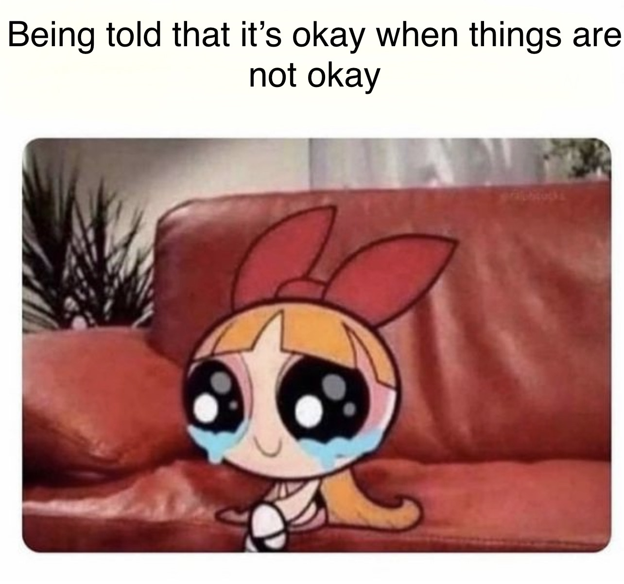 Mental Health Meme