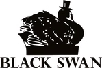 Black Swan Fireside House and Home
