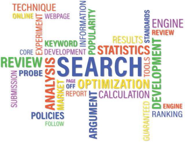 Great Opportunity To Get Into An Adult Services Startup For Sale | Enquire Now!