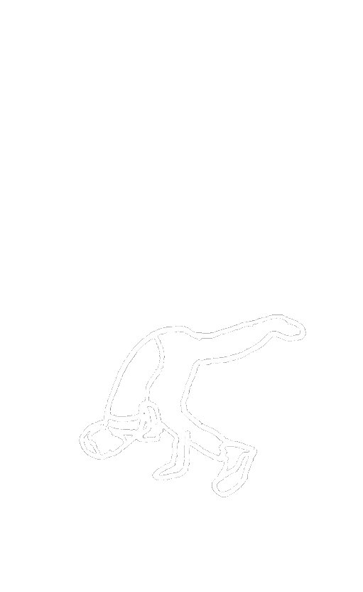 Fantome