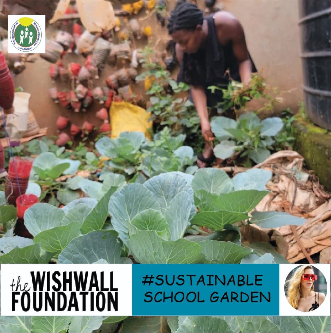 Sustainable school garden