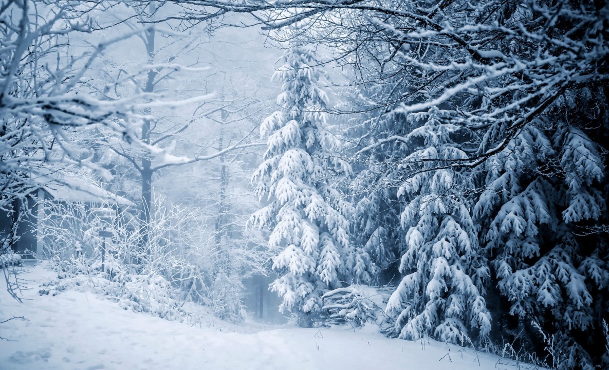 Snow