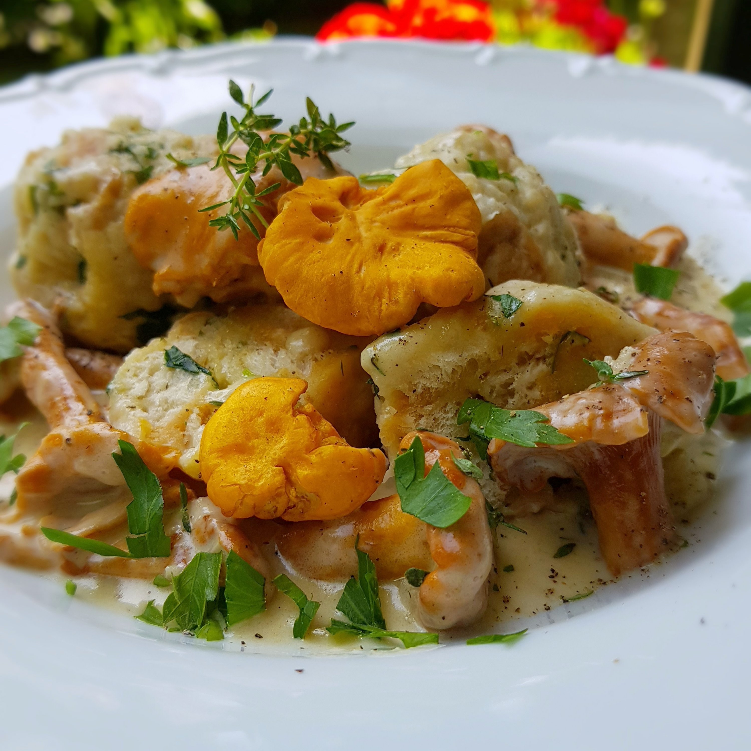 Eierschwammerlragout / Pfifferlingsragout