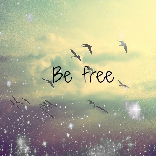 Free Bird