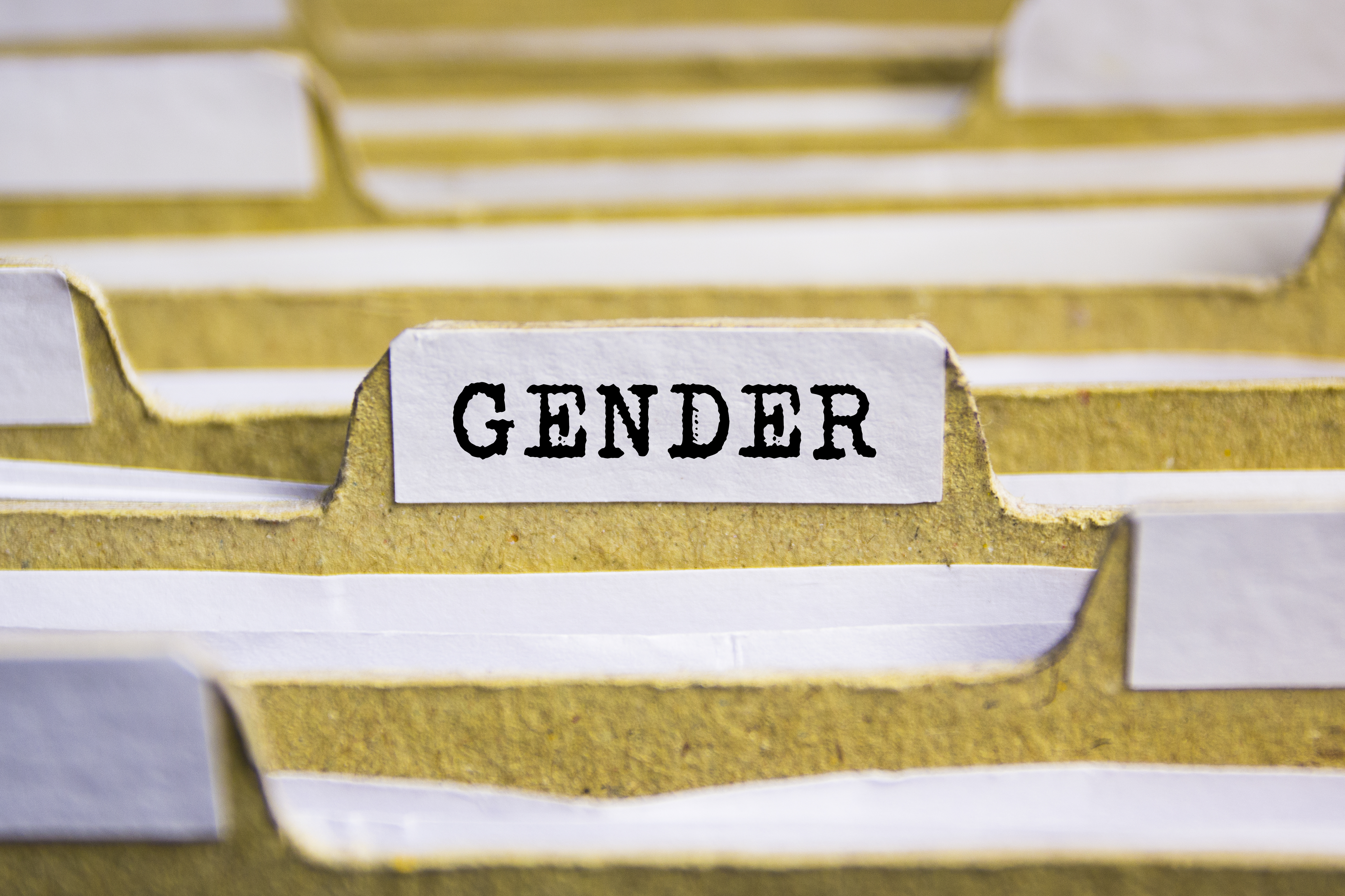 Sisterhood in the Workplace
