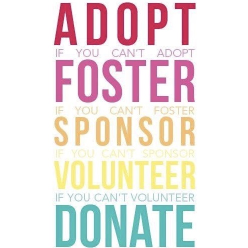 Adopting a baby