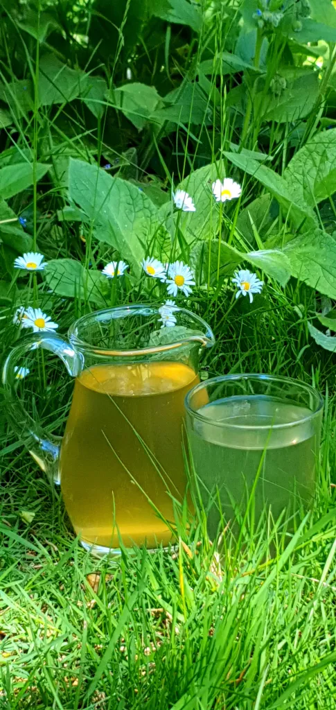 Elderflower Syrup