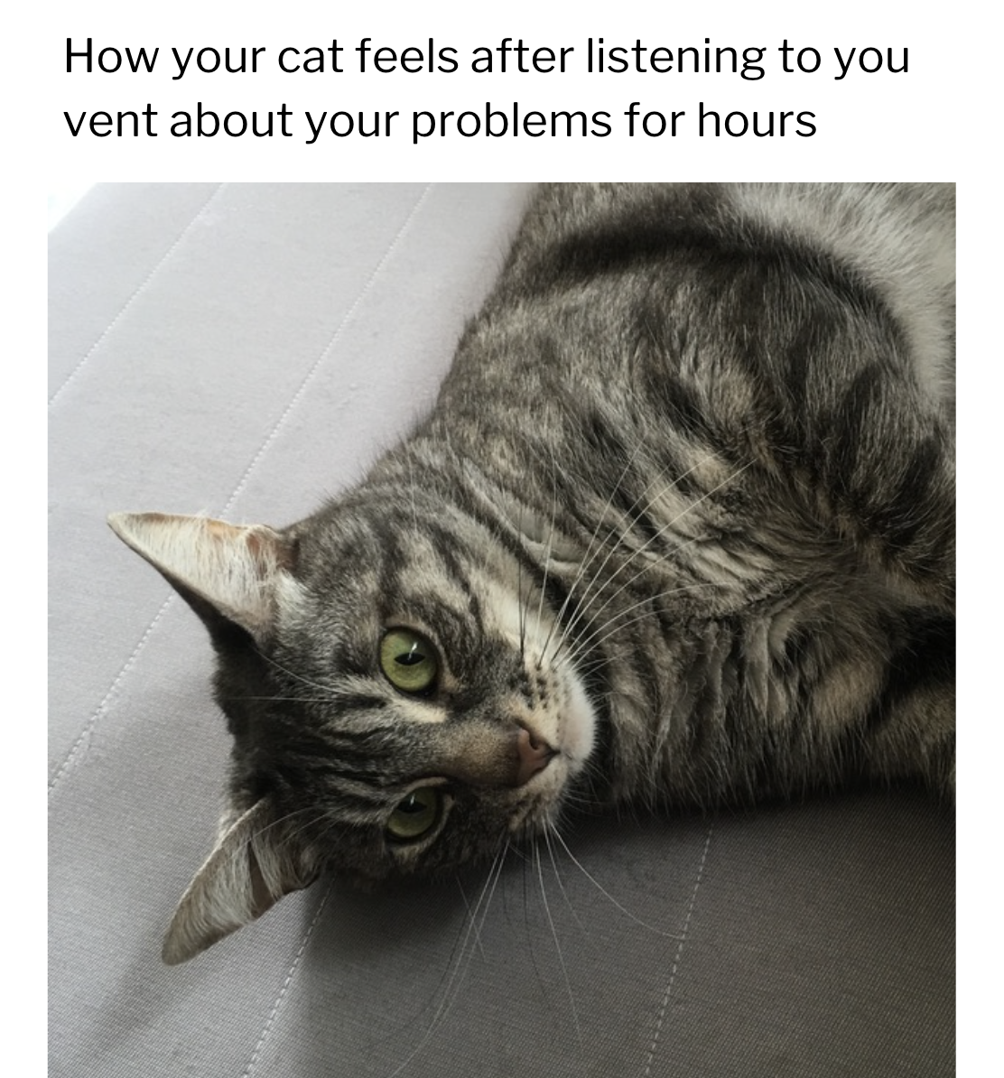 Mental Health Meme