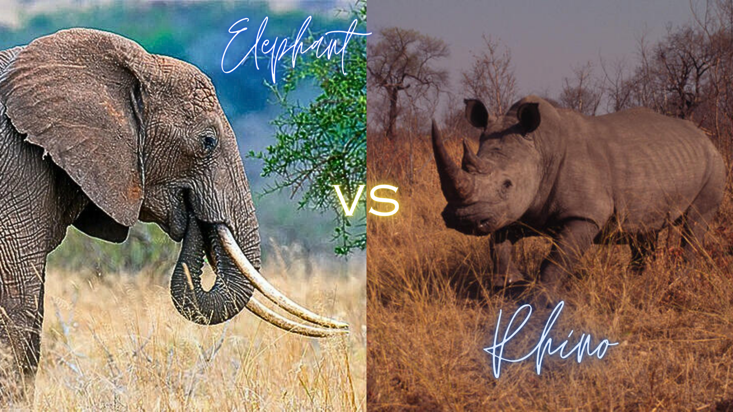Clash of Titans