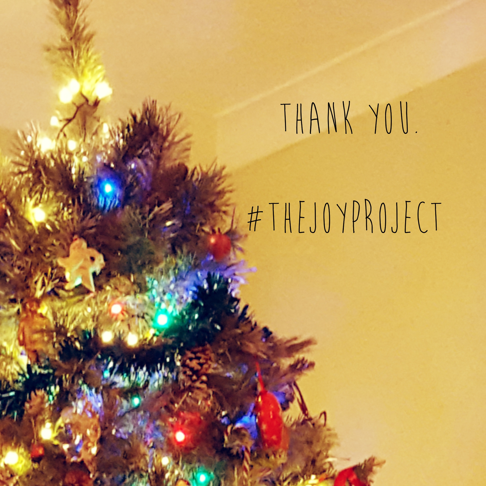 Thank You & Merry Christmas