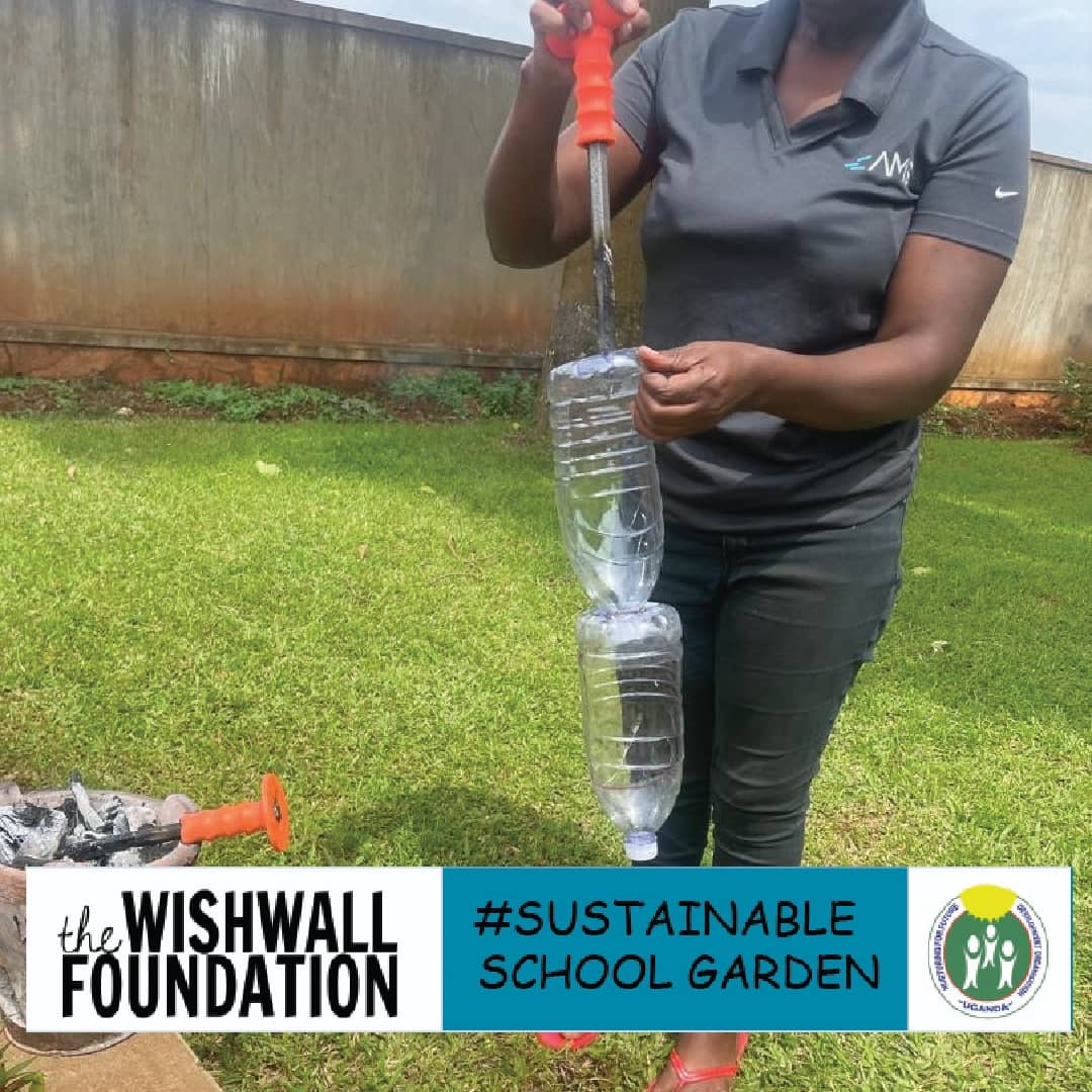 Sustainable school garden