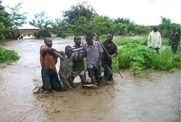 Tree Planting for Climate Change Mitigation