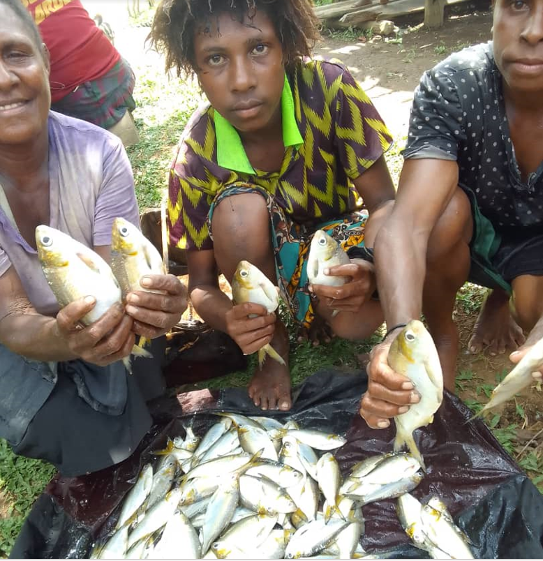 Repurposing smart technologies to empower rural women in Papua New Guinea.