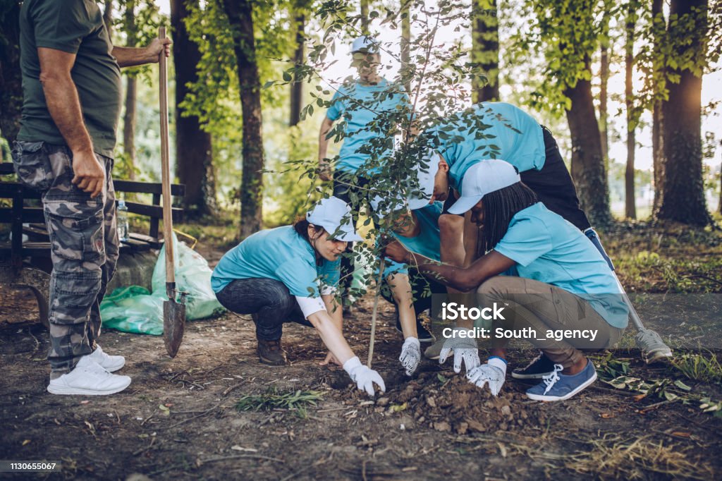 https://www.paypal.com/donate/?hosted_button_id=TSXYWQFGN24LS