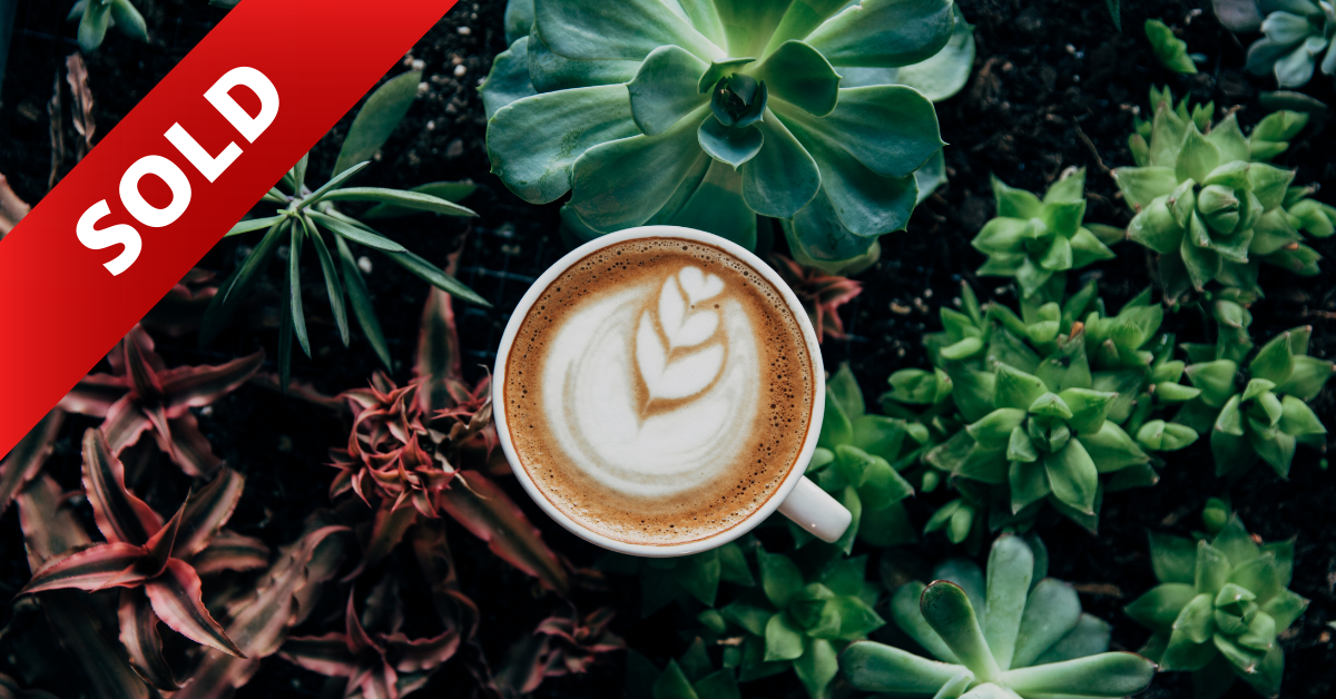SOLD | Eastern Suburbs Cafe Sydney Great Coffee Sales Low Rent Great Opportunity