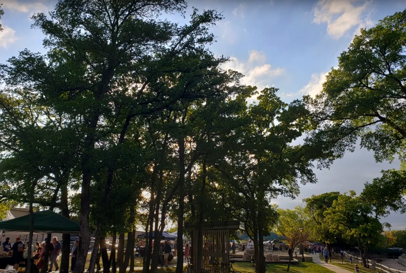 View of the Arlington, TX, Foodies Farmers Market