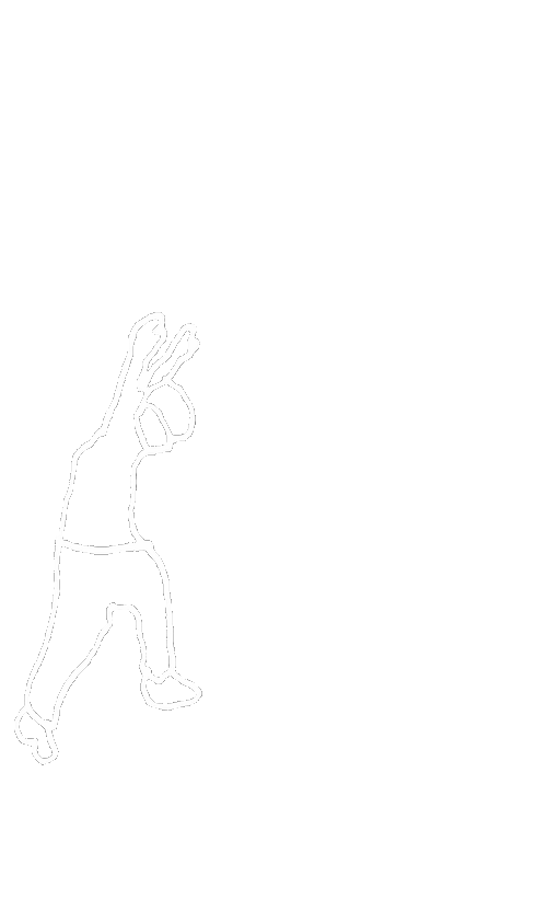 Fantome