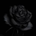 Eesha profile picture