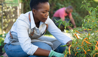 Farm to Feed has won the Bayer Foundation Women Empowerment Award 2022
