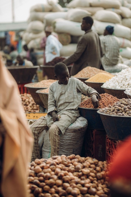 Farm to Feed  is proud to be a Friend of Champions 12.3! Together, we inspire ambition and mobilise action to reduce food loss and waste globally