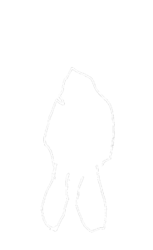 Fantome