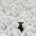 Mudacumura brunoblaise profile picture