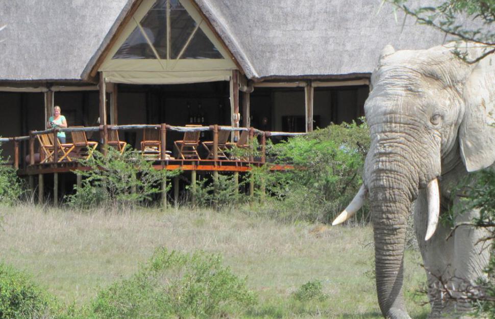 Amakhala-Game-Reserve-Bush-Lodge-8.jpg