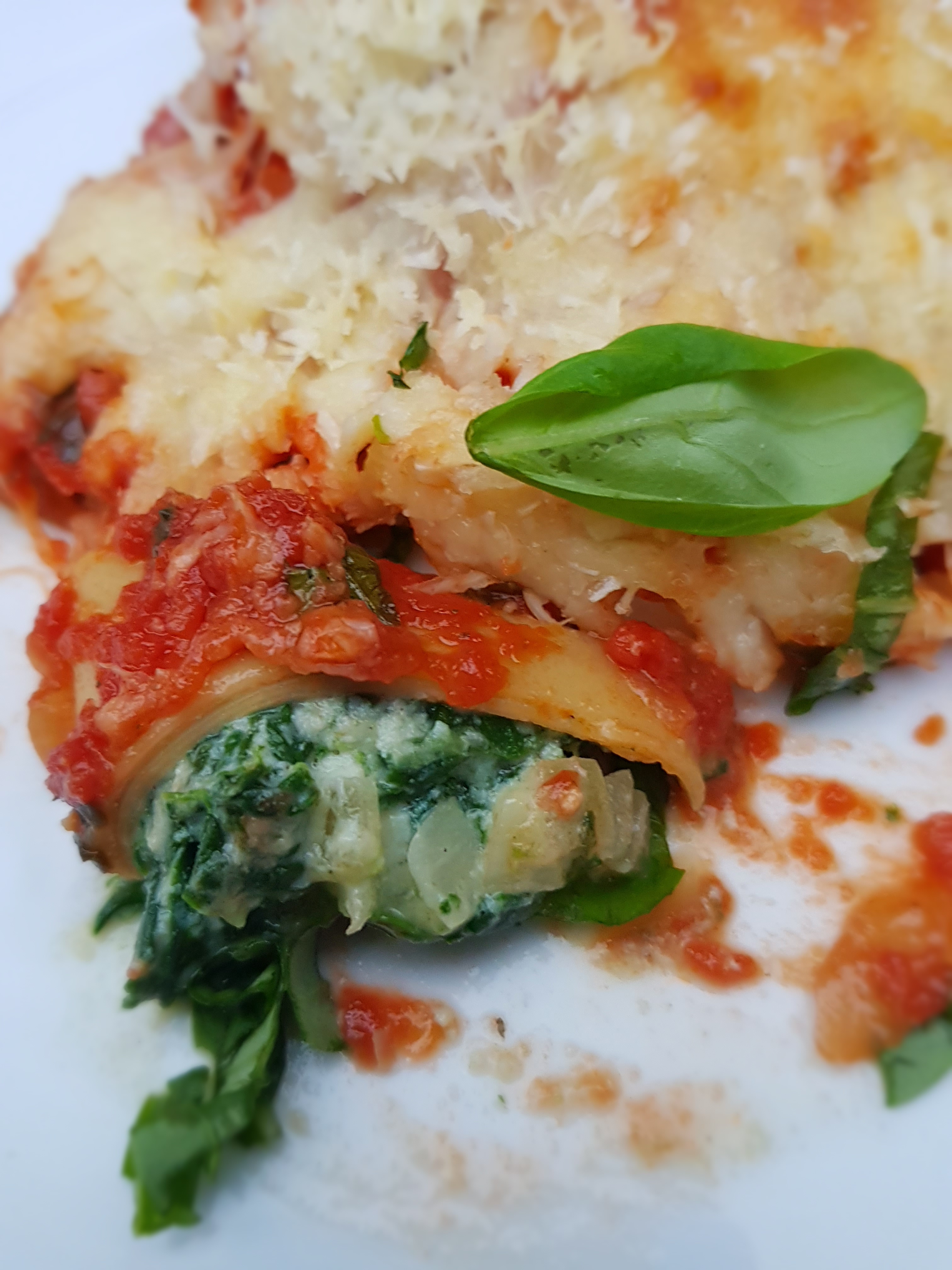 Spinat Ricotta Cannelloni (traditionel & Thermomix)
