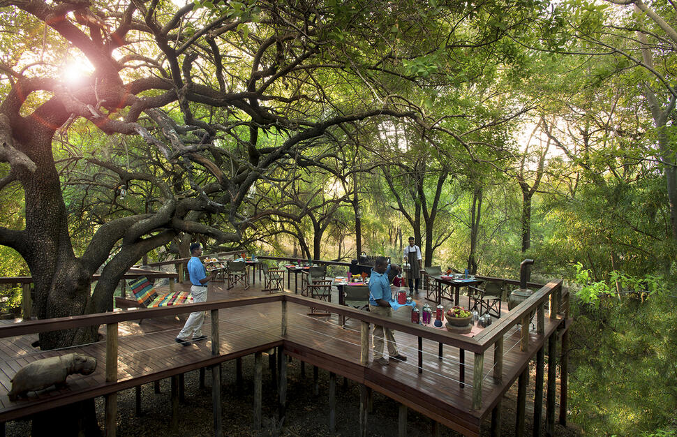Jacis-Safari-and-Tree-Lodge-9.jpg