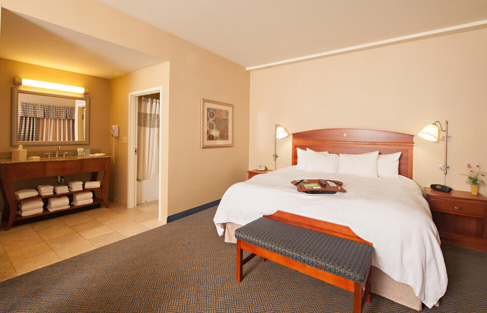 Hampton-Inn-Suites-North-Conway-5.jpg