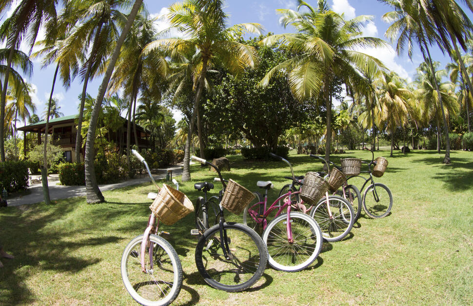 Palm-Island-Resort-Spa-11.jpg