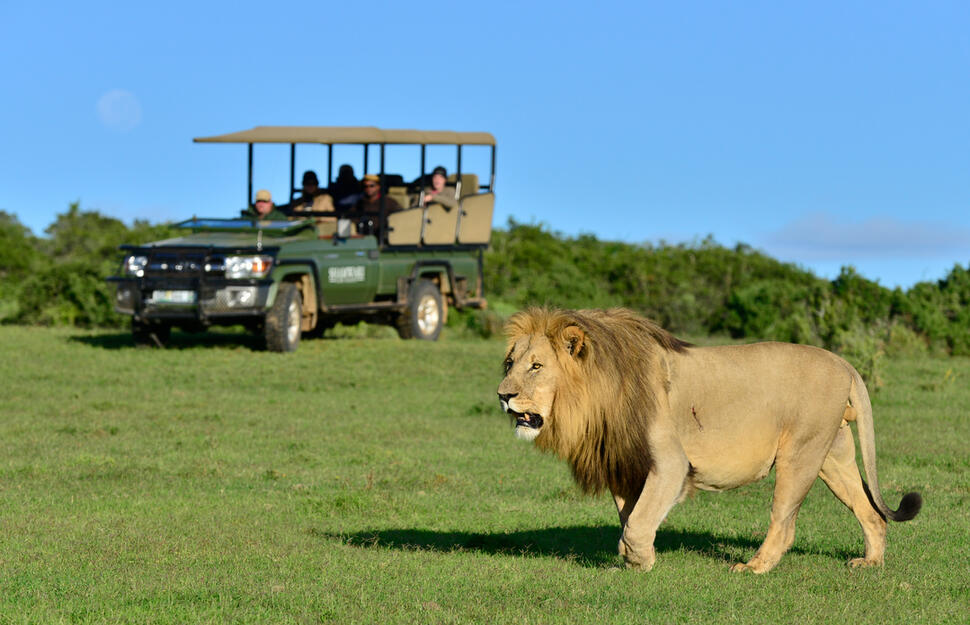 Shamwari-Private-Game-Reserve-11.jpg