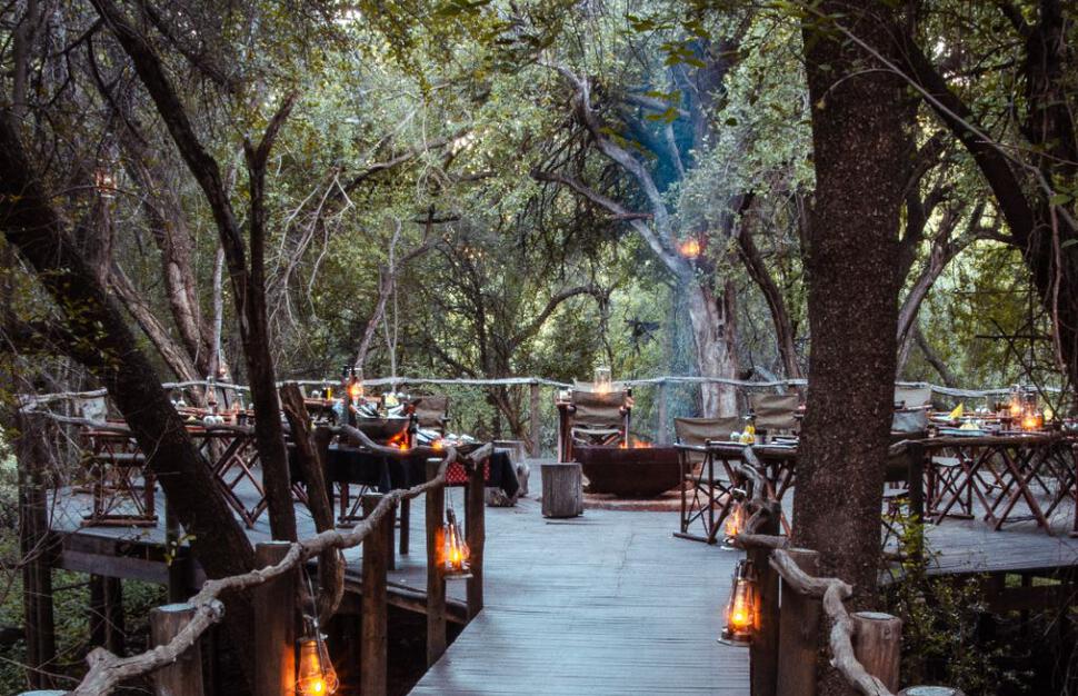 Jacis-Safari-and-Tree-Lodge-4.jpg