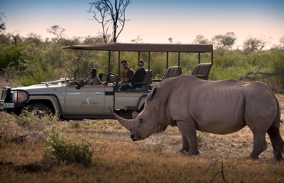Jacis-Safari-and-Tree-Lodge-31.jpg